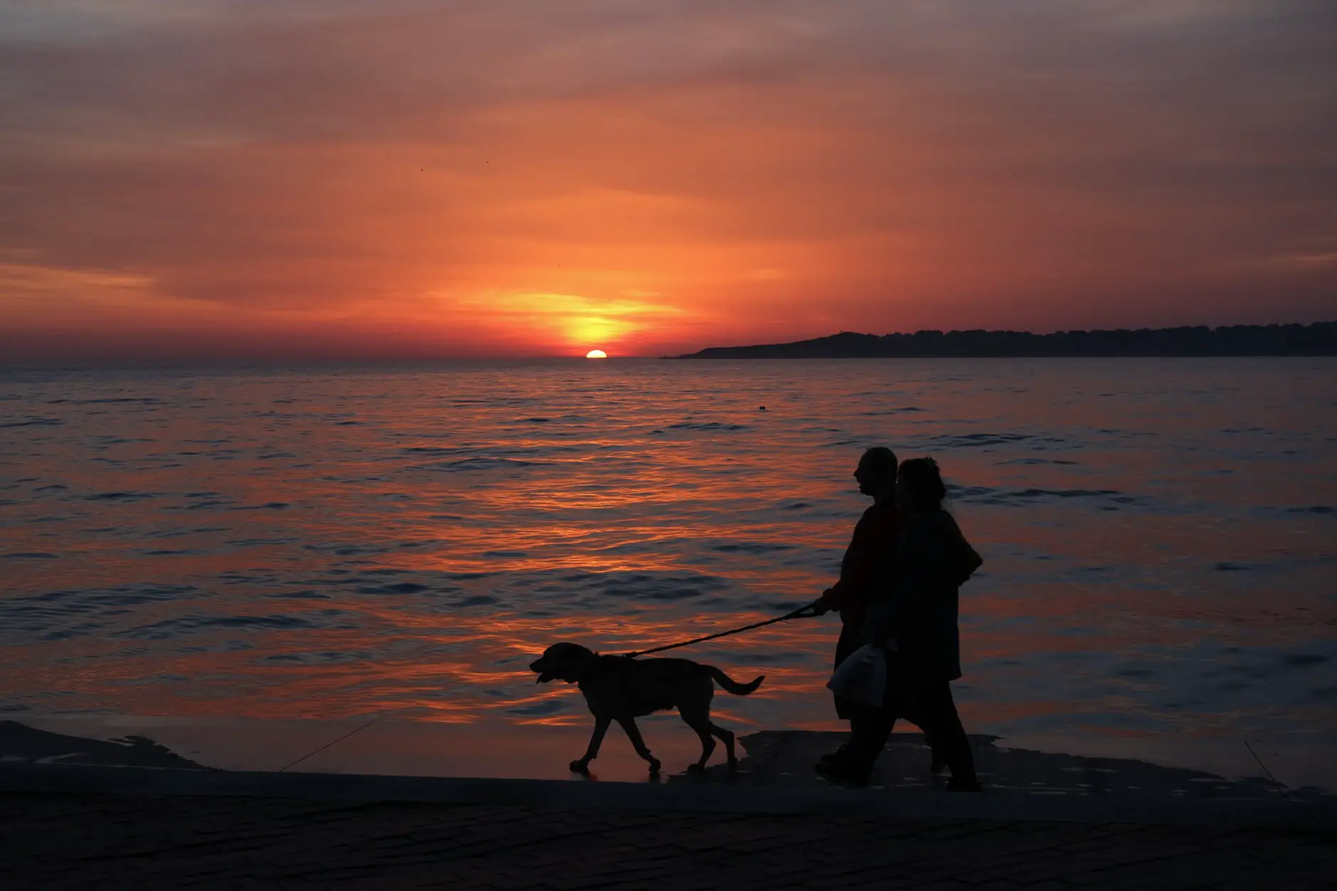 Dog Walk Sunset