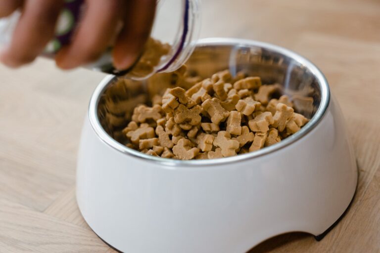 Worst Dog Food Ingredients (What NOT To Feed Your Dog)