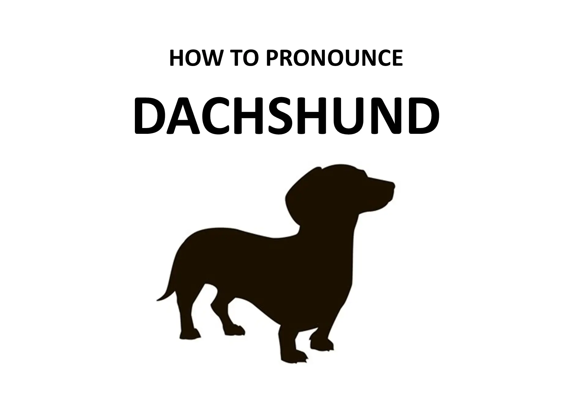 Pronounce Dachshund